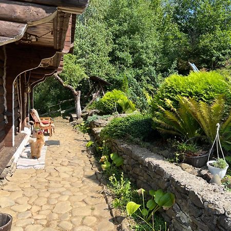 Villa Zelenyj Raj Pashkivtsi  Esterno foto