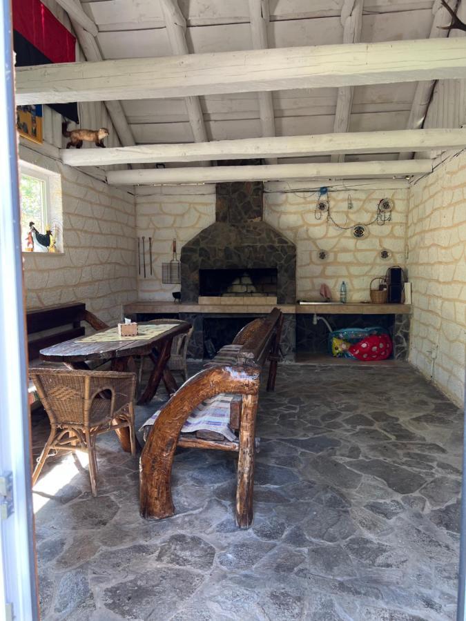 Villa Zelenyj Raj Pashkivtsi  Esterno foto