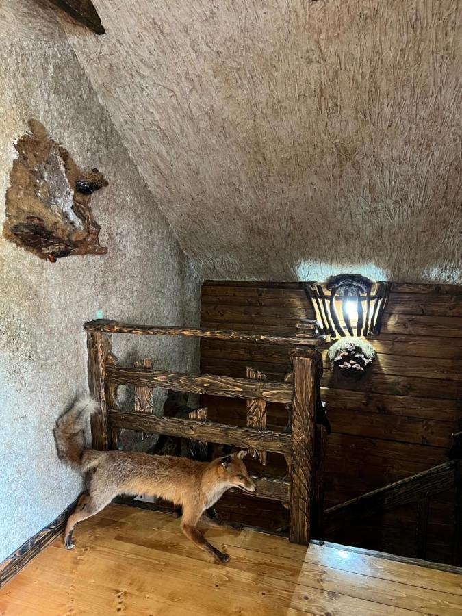 Villa Zelenyj Raj Pashkivtsi  Esterno foto