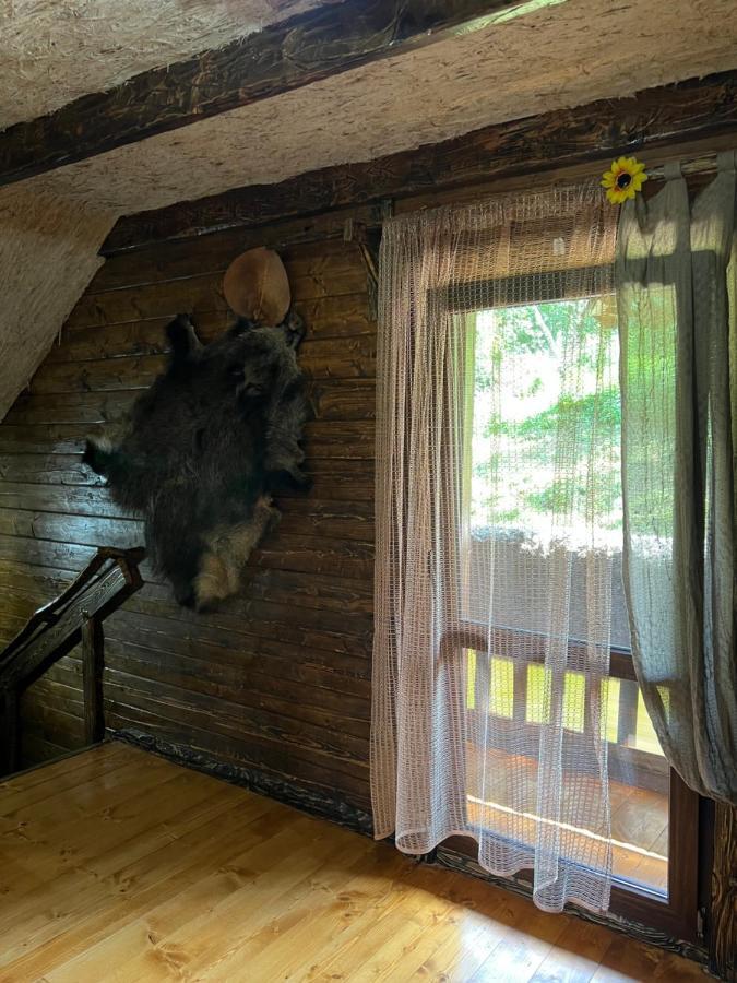 Villa Zelenyj Raj Pashkivtsi  Esterno foto