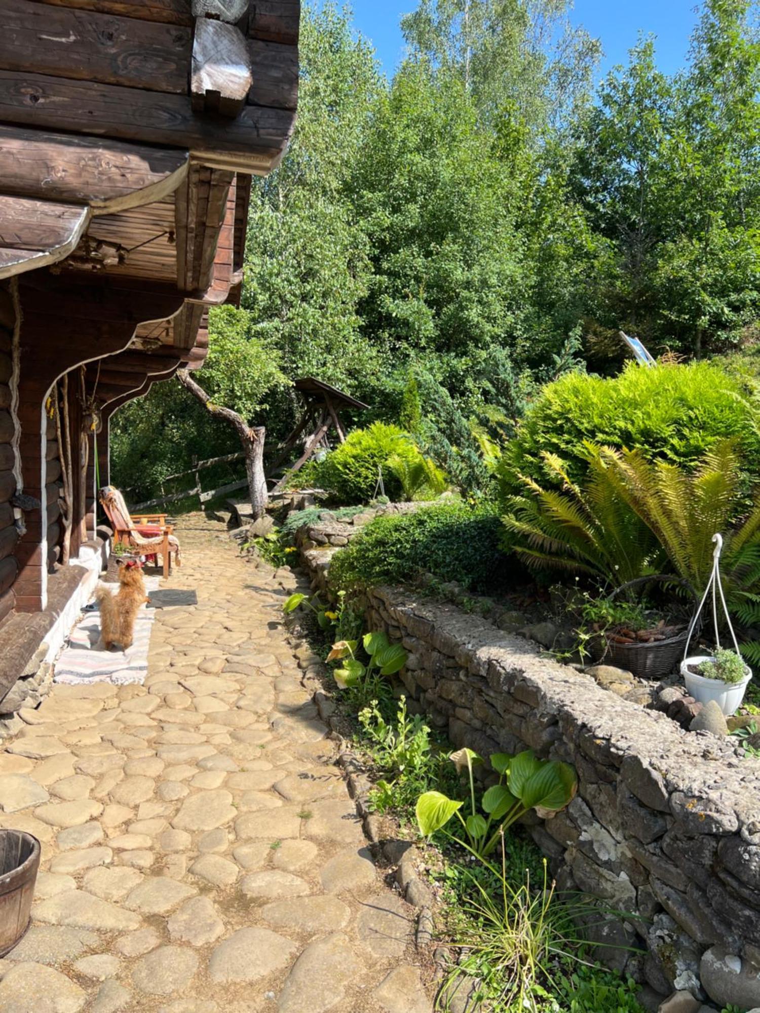 Villa Zelenyj Raj Pashkivtsi  Esterno foto